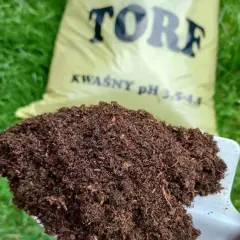 Łopatka z torfem na tle zielonej trawy i worka z napisem "TORF KWAŚNY". Idealny do roślin lubiących kwaśne podłoże.