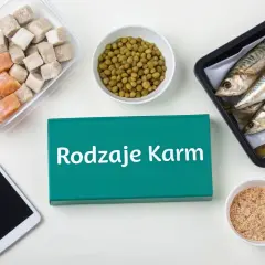 Różne rodzaje karmy dla ryb: mrożone kostki, groszek, całe ryby i granulat.