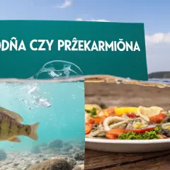 Ryba w wodzie i talerz z jedzeniem, z napisem "Głodna czy przekarmiona".