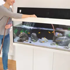 Kobieta wymienia wodę w akwarium z rybkami. Regularna wymiana wody jest kluczowa dla zdrowia mieszkańców.