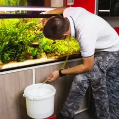 Co ile wymienia się wodę w akwarium, aby uniknąć problemów zdrowotnych?