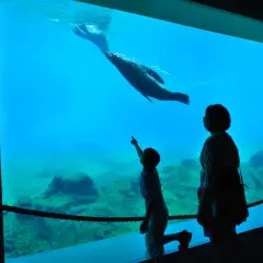 Oceanarium Gliwice: Odkryj niezwykłe atrakcje morskie w okolicy