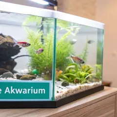 Akwarium z rybkami i roślinami, z napisem "Zdrowe Akwarium".