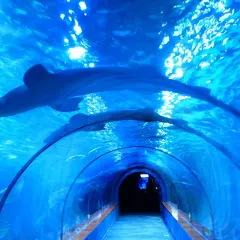 Oceanarium w Łodzi: Niezapomniane atrakcje i tajemnice Orientarium