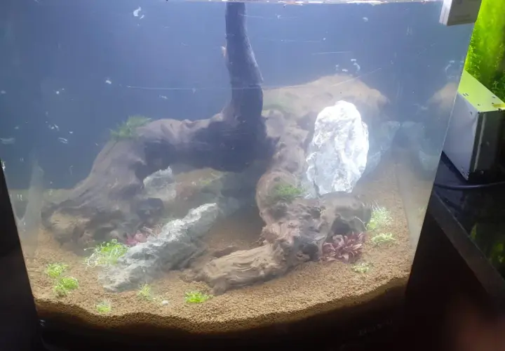 Wata akwarystyczna tworzy naturalne środowisko dla roślin i kamieni w akwarium.