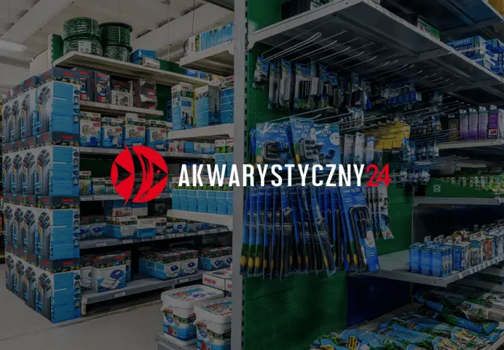 Jak zrobić kryjówki dla rybek - proste sposoby na bezpieczne schronienia