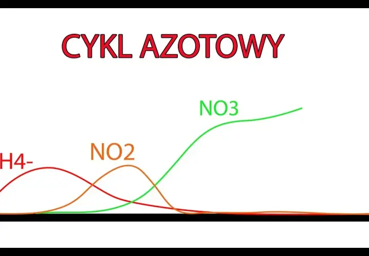 Ile dojrzewa akwarium? Kluczowe czynniki wpływające na czas cyklu