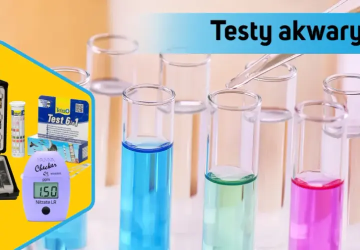 Jakie testy do akwarium słodkowodnego? Kluczowe parametry, które musisz znać