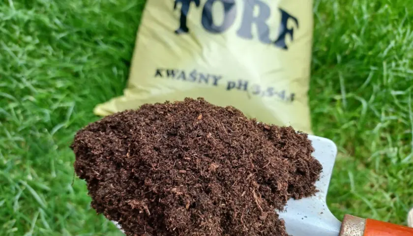 Łopatka z torfem na tle zielonej trawy i worka z napisem "TORF KWAŚNY". Idealny do roślin lubiących kwaśne podłoże.