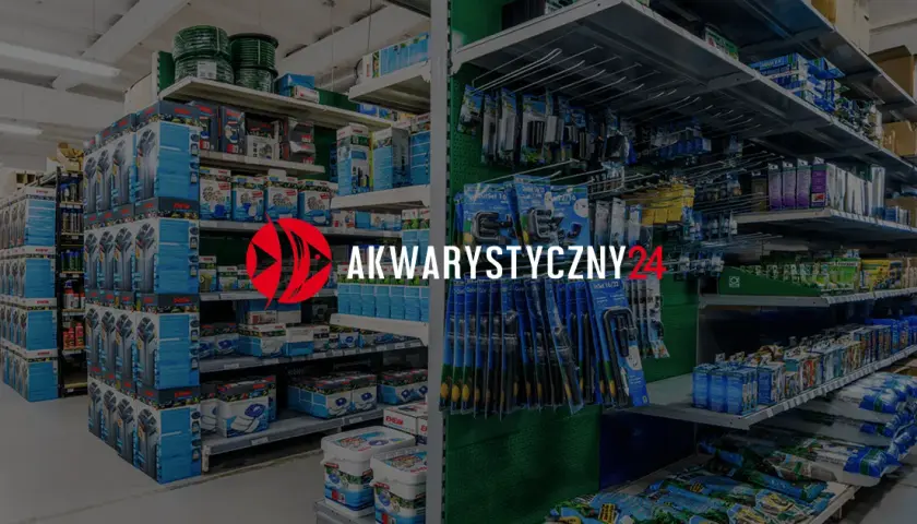 Jak zrobić kryjówki dla rybek - proste sposoby na bezpieczne schronienia