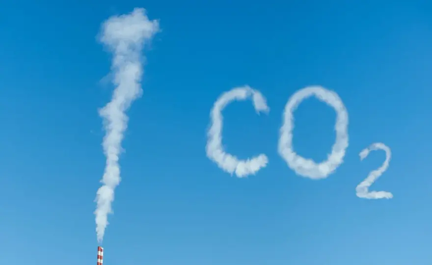 CO2 spożywczy a techniczny - który gaz wybrać do akwarium?