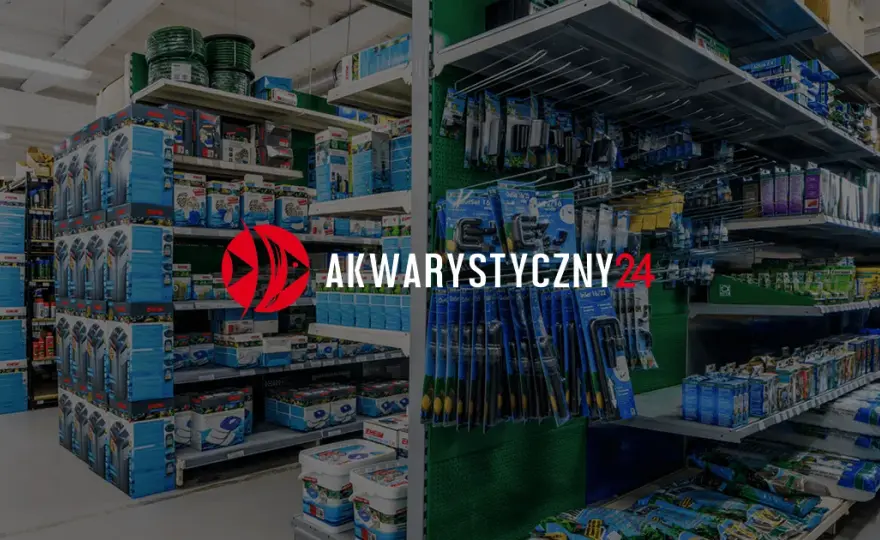 Jak zrobić kryjówki dla rybek - proste sposoby na bezpieczne schronienia