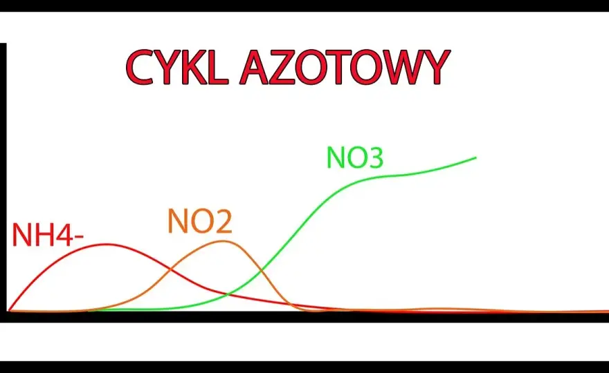 Ile dojrzewa akwarium? Kluczowe czynniki wpływające na czas cyklu