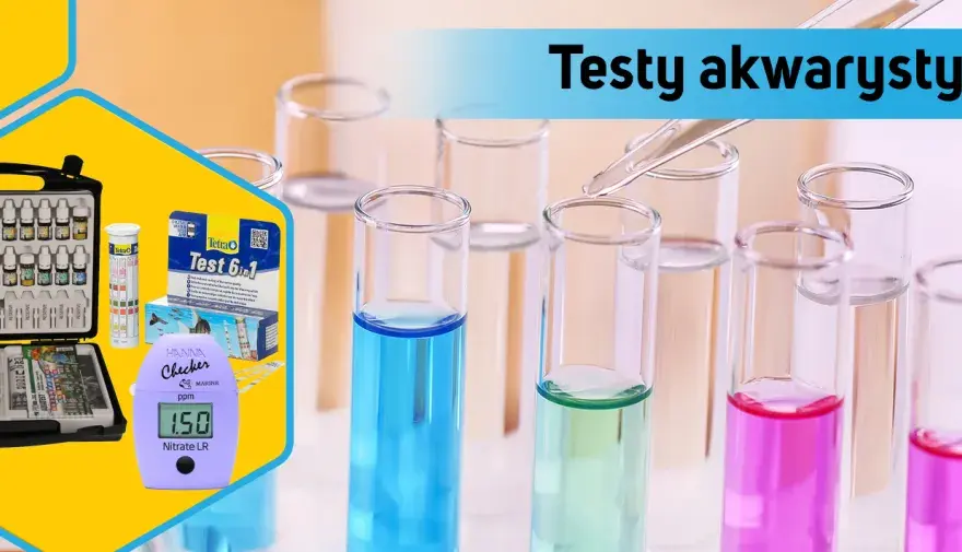 Jakie testy do akwarium słodkowodnego? Kluczowe parametry, które musisz znać