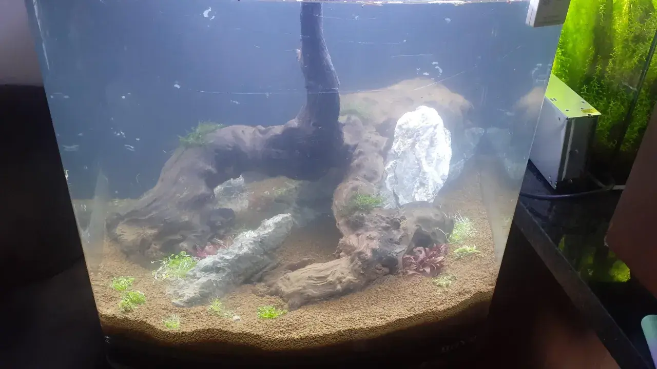 Wata akwarystyczna tworzy naturalne środowisko dla roślin i kamieni w akwarium.