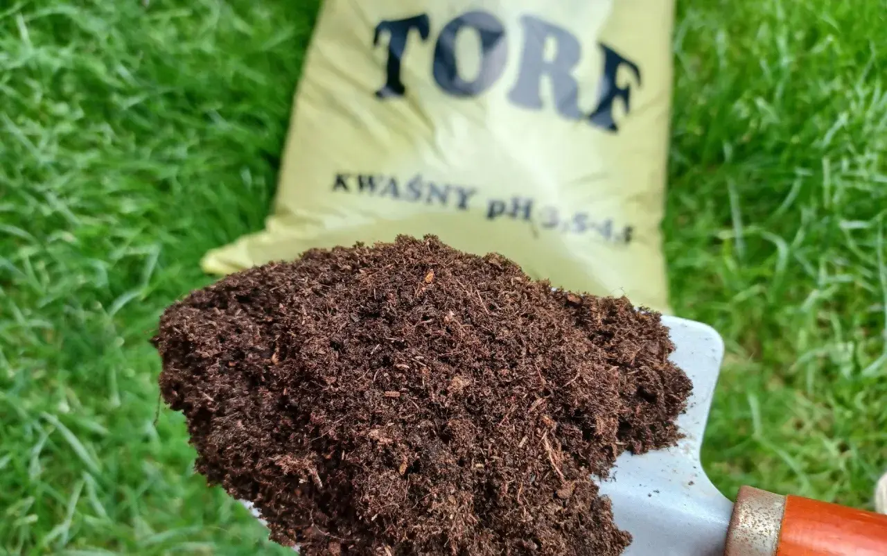 Łopatka z torfem na tle zielonej trawy i worka z napisem "TORF KWAŚNY". Idealny do roślin lubiących kwaśne podłoże.