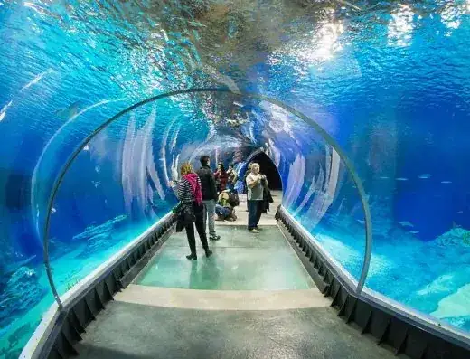 Zdjęcie Oceanarium Gliwice: Odkryj niezwykłe atrakcje morskie w okolicy