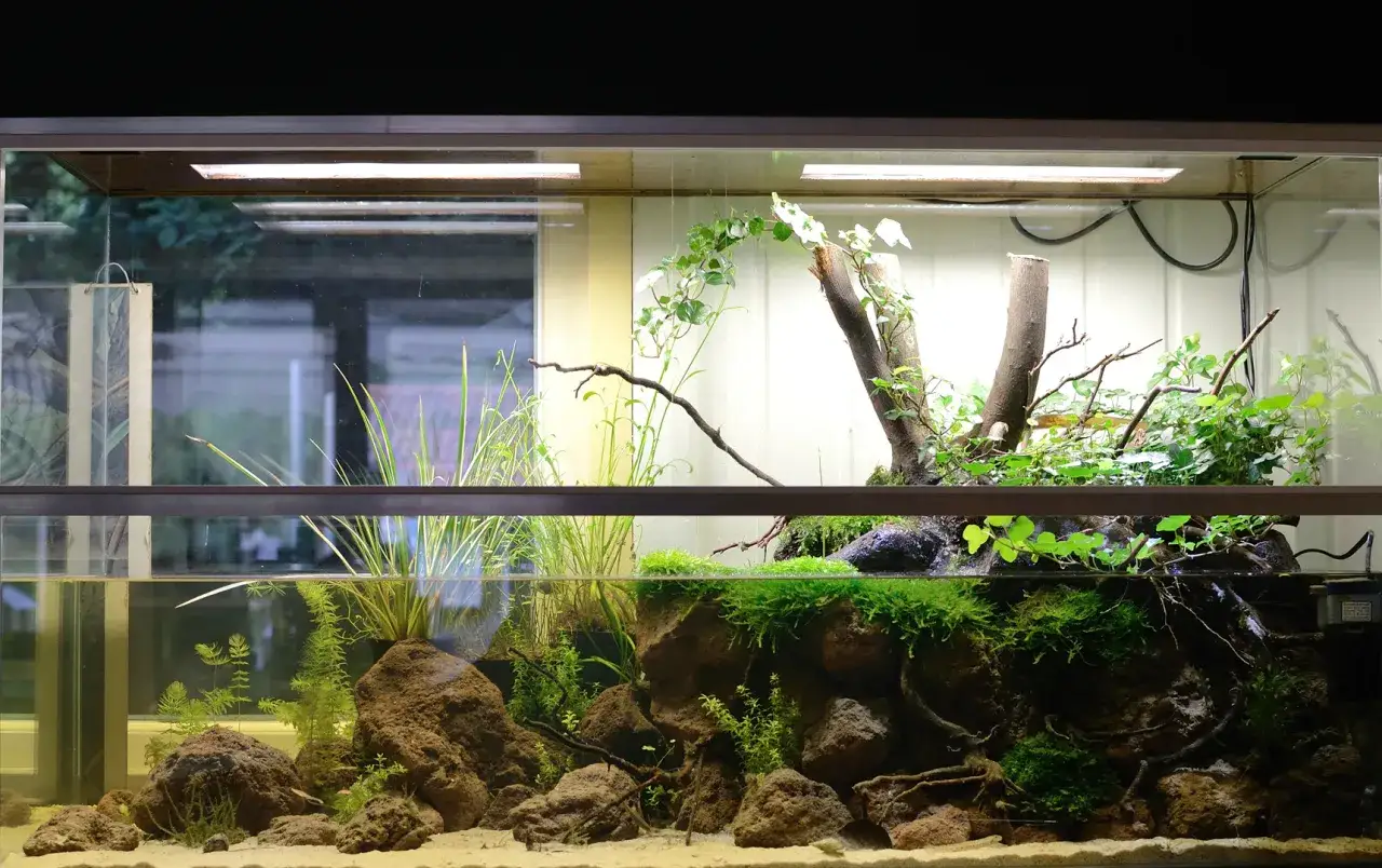 Piękne paludarium z akwarium, gdzie bujna roślinność wodna i lądowa tworzy naturalny ekosystem.